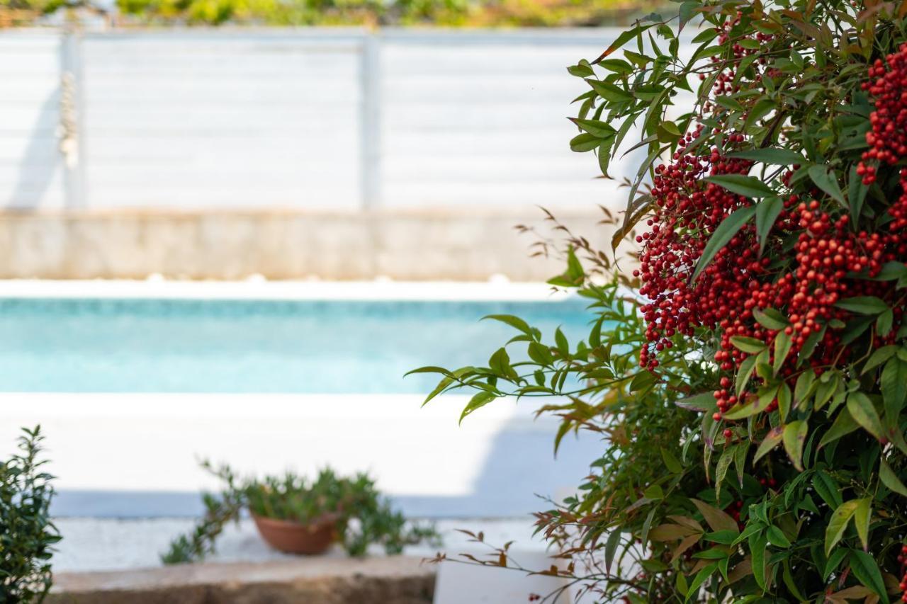 Apartment Adriana On Peaceful Location With Pool Pula Exterior foto